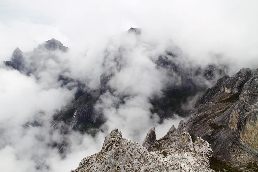Kinabalu National Park — mountain & cloud forest.