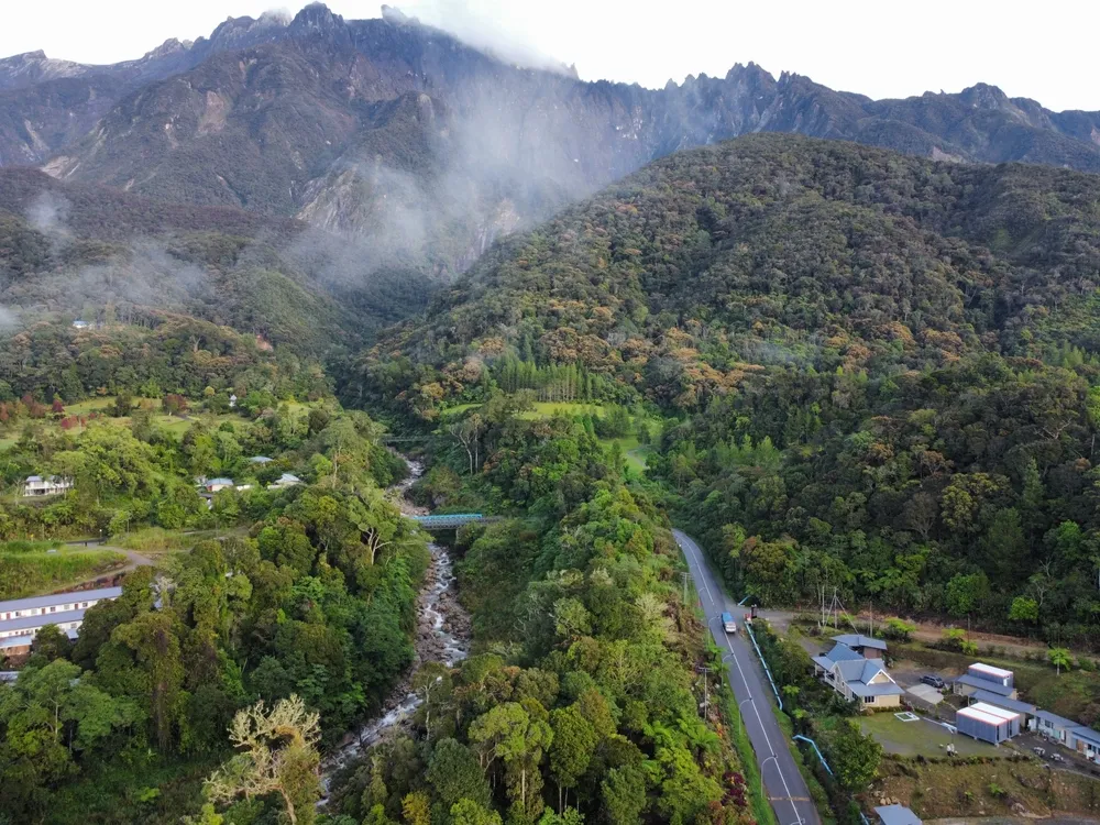 Cloud forest on the flanks of Mount Kinabalu.