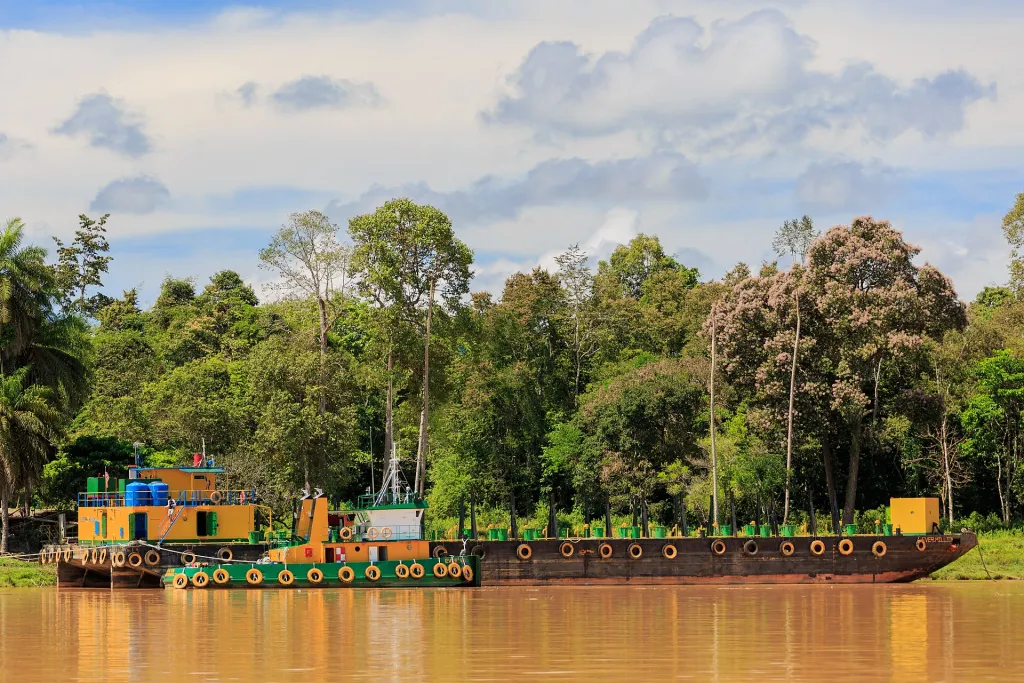 Kinabatangan Wildlife Safari
