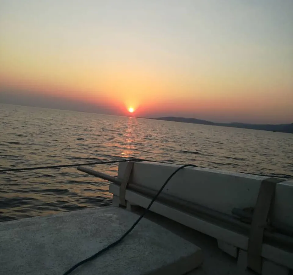 Tiger fishing