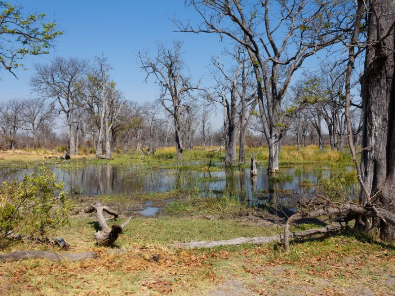 Water-and-land game