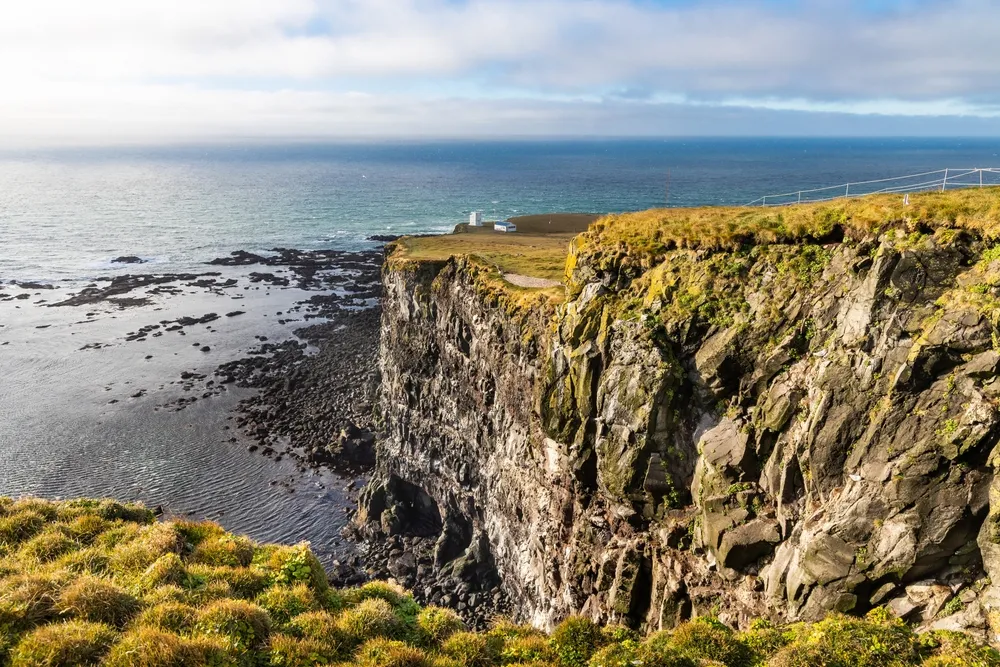 Látrabjarg