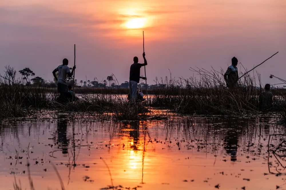 Okavango Fly in Safari