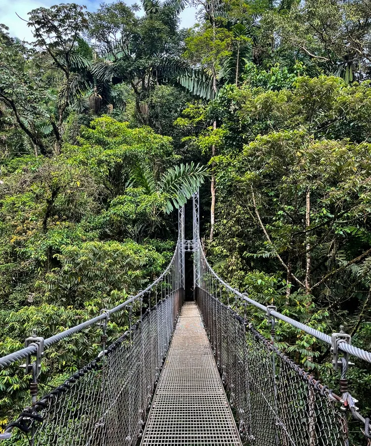 Cloud-forest walk