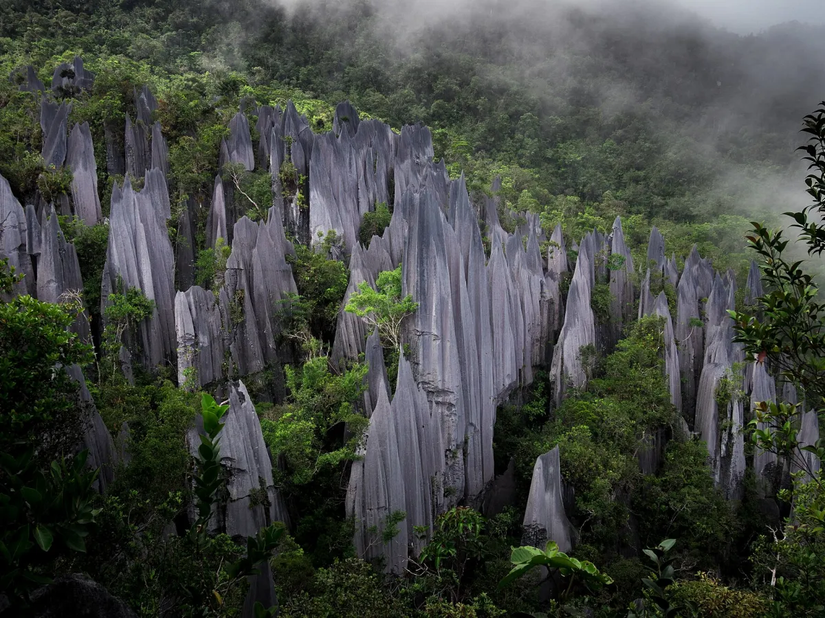 Pinnacles trek