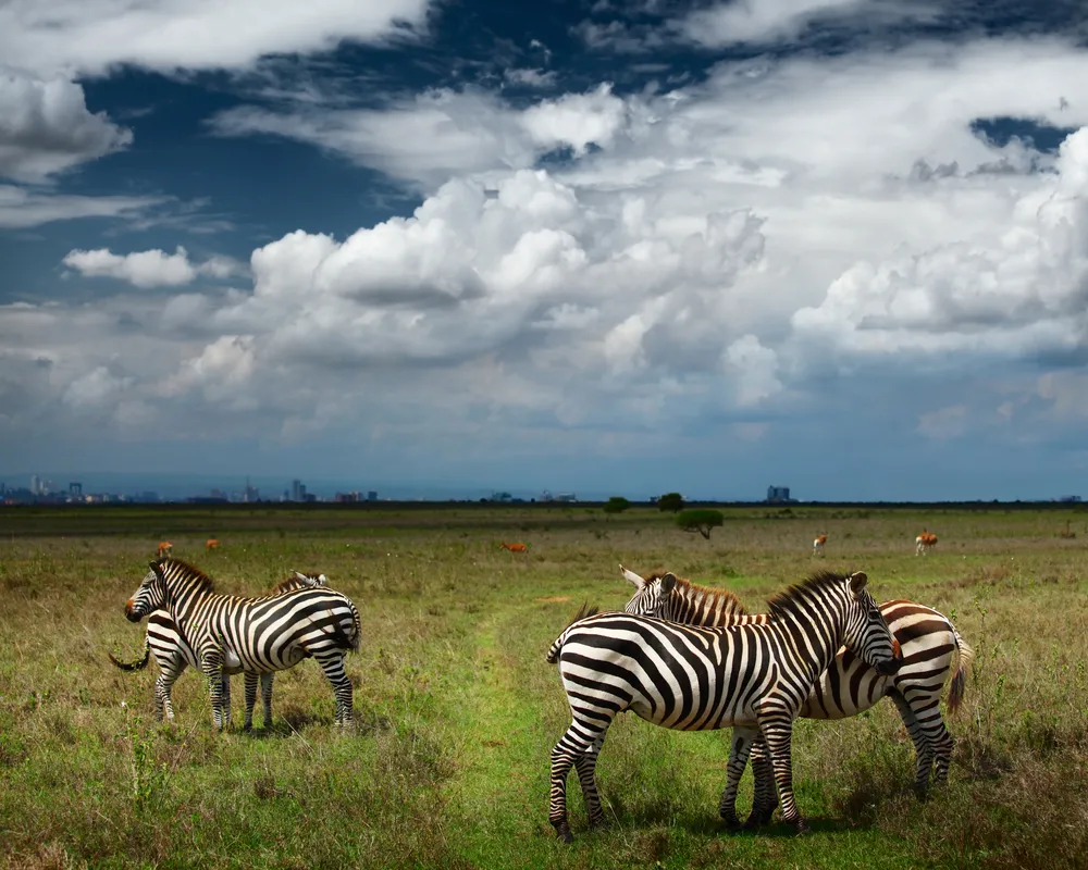 Elementaita Mara