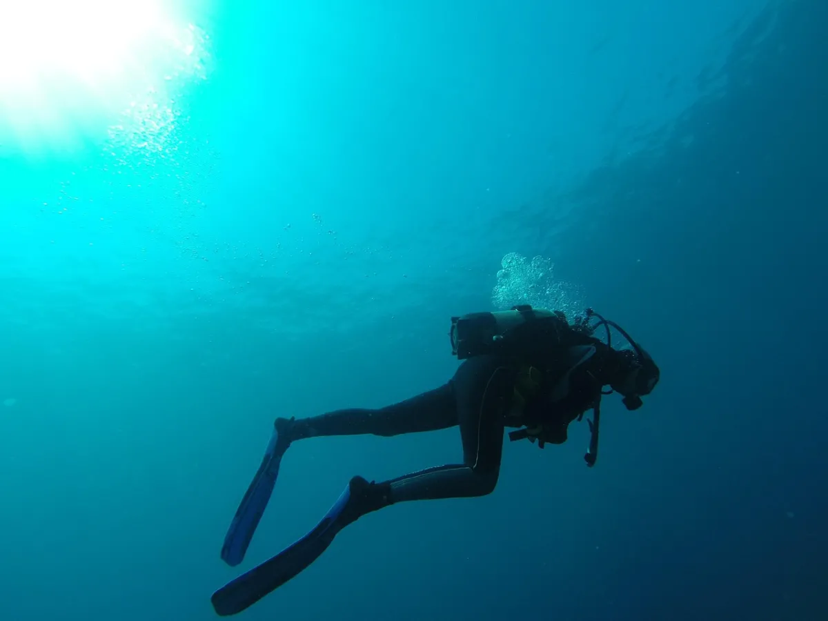 Kimbe Bay diving