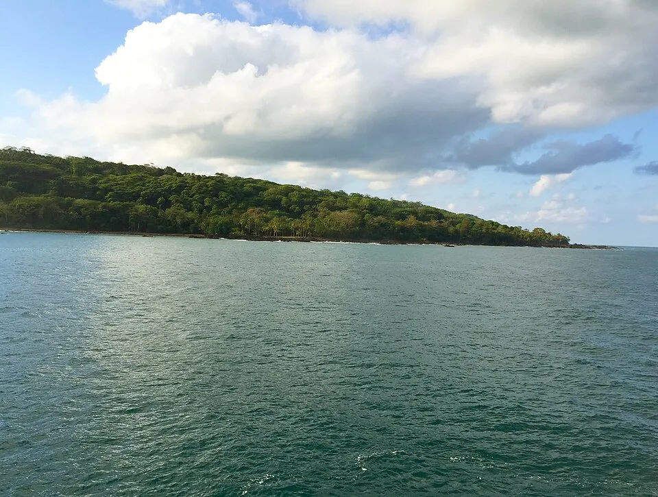 Osa Peninsula — wild rainforest.