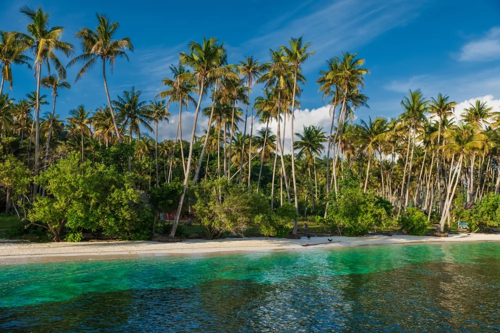 Karst islands and turquoise lagoons of Raja Ampat.
