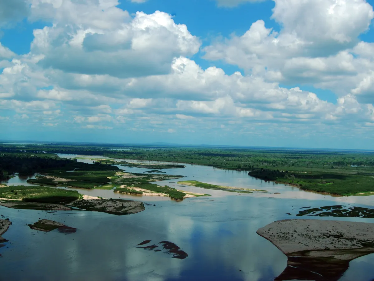 A small boat drifting past elephants drinking at the Rufiji's edge.