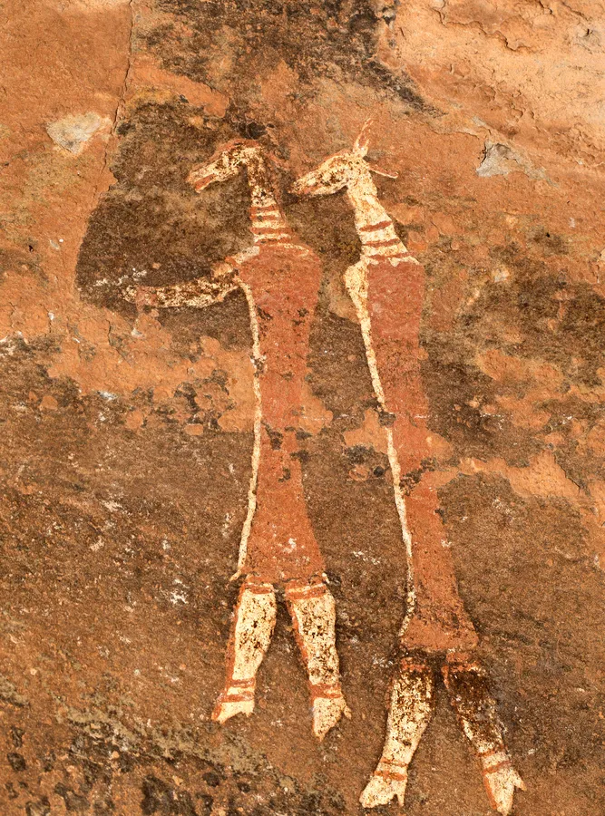 San rock art