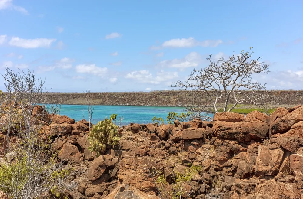 Santa Cruz Island — the hub island.