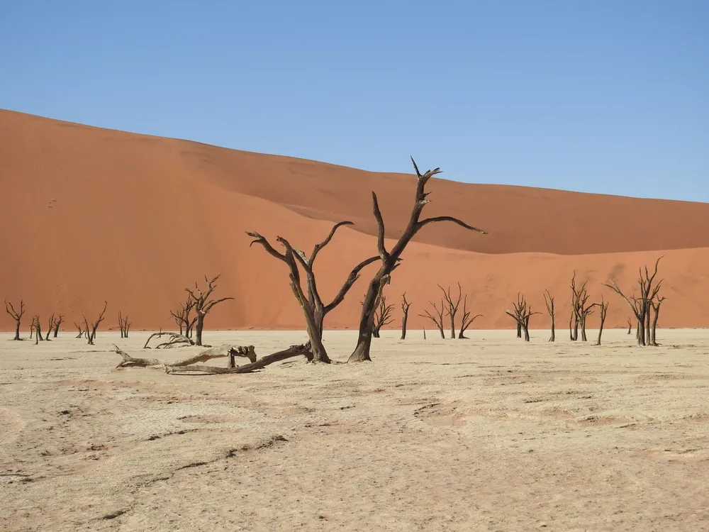 Sossusvlei Escape