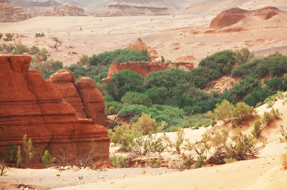 South Gobi Desert — desert & dinosaur cliffs.