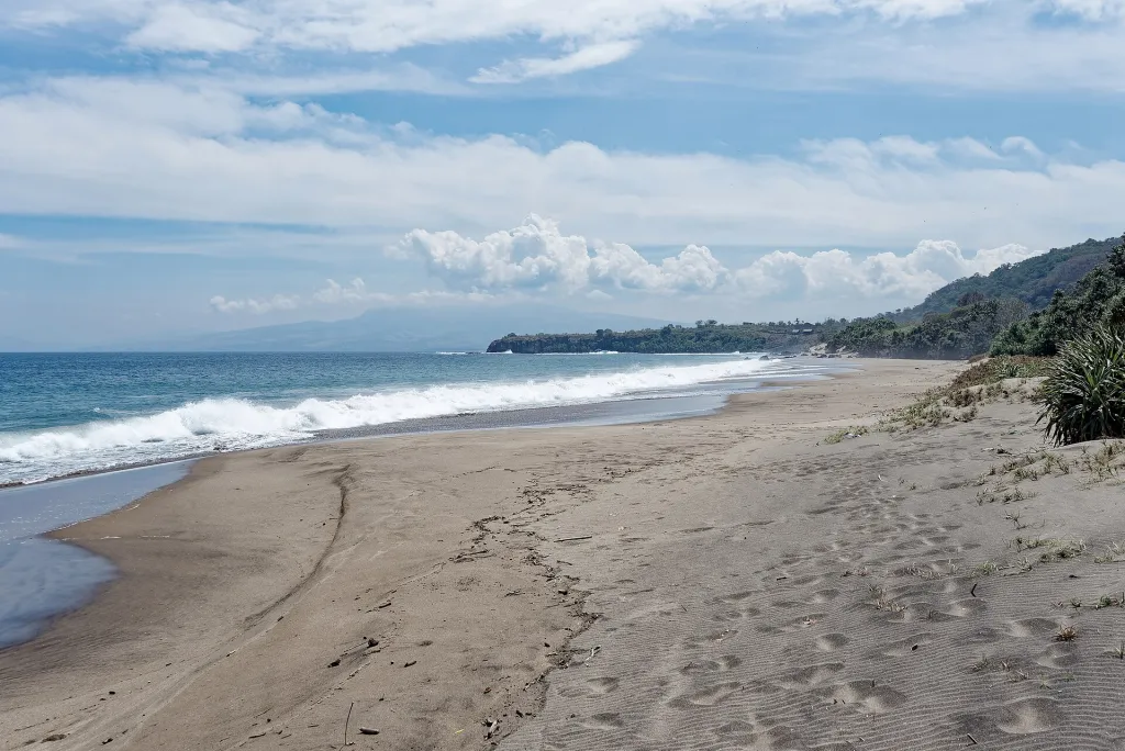 Komodo Dragon Expedition