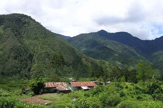 Tabubil — foothill forest.