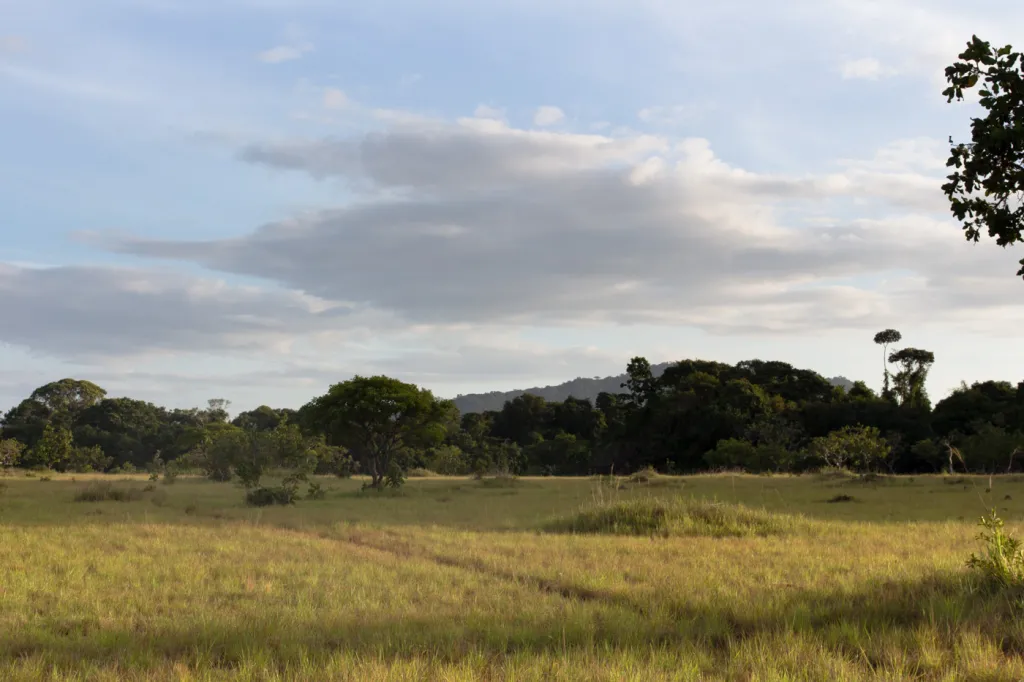 Guyana Grand Expedition
