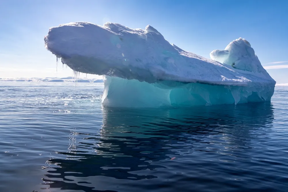 Glacier fjords