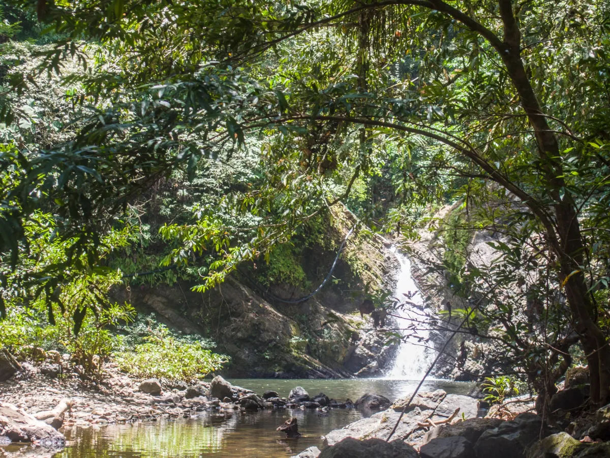 Tabin Wildlife Reserve — lowland reserve.