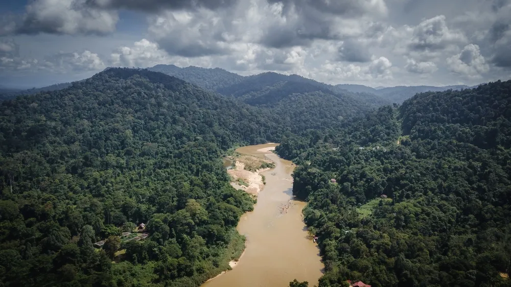 Taman Negara — ancient rainforest.