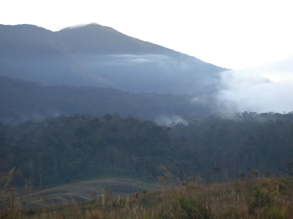 Kiunga Tabubil Expedition