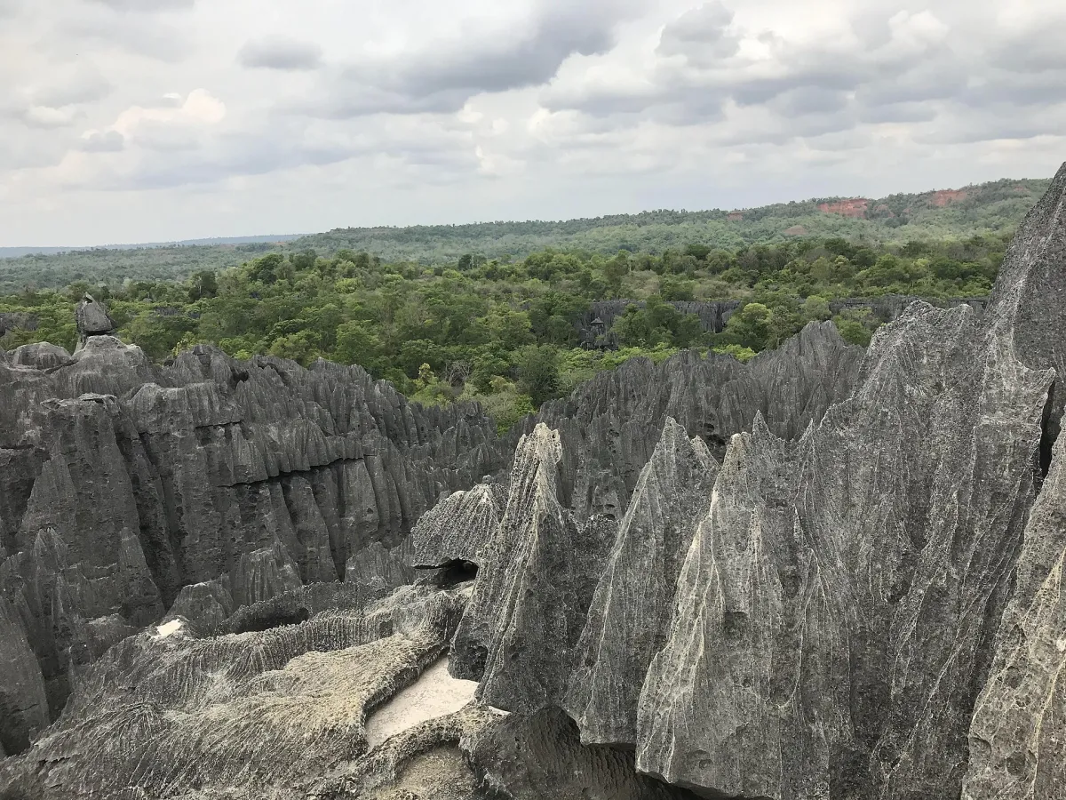 The razor pinnacles of the Tsingy de Bemaraha.