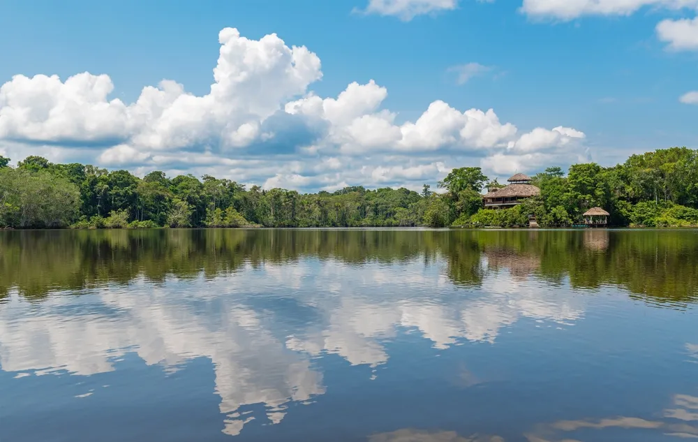 Yasuni National Park — amazon biodiversity.