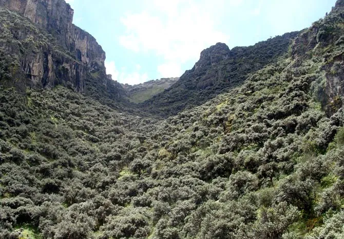 High scenery