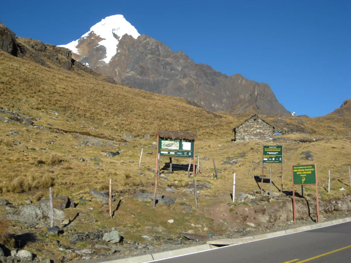 Abra Malaga — high-andes endemics.