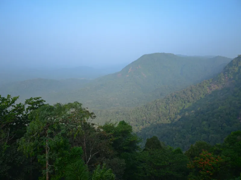 Rainforest streams and waterfalls in full monsoon spate.