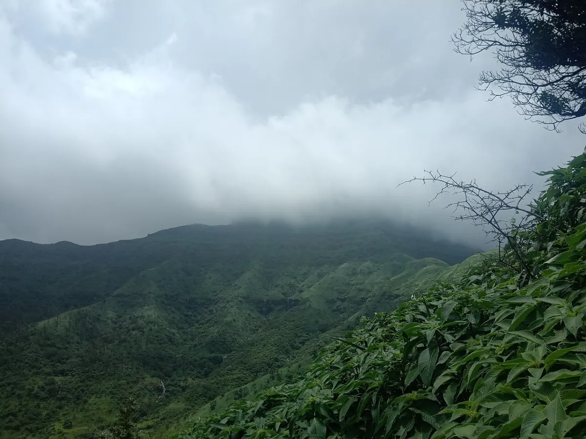 Mist pouring over the Sahyadri escarpment in the monsoon.