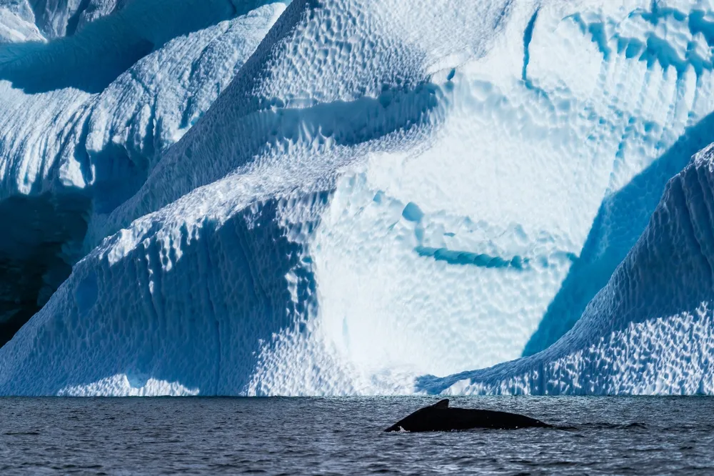 antarctica-basecamp-adventure