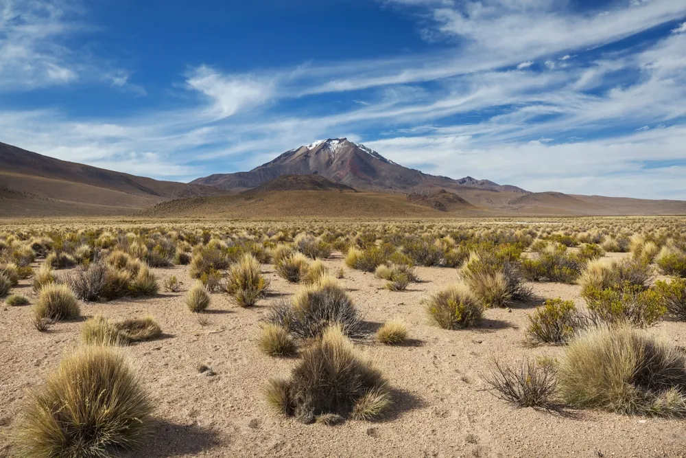 Salar & lagoons