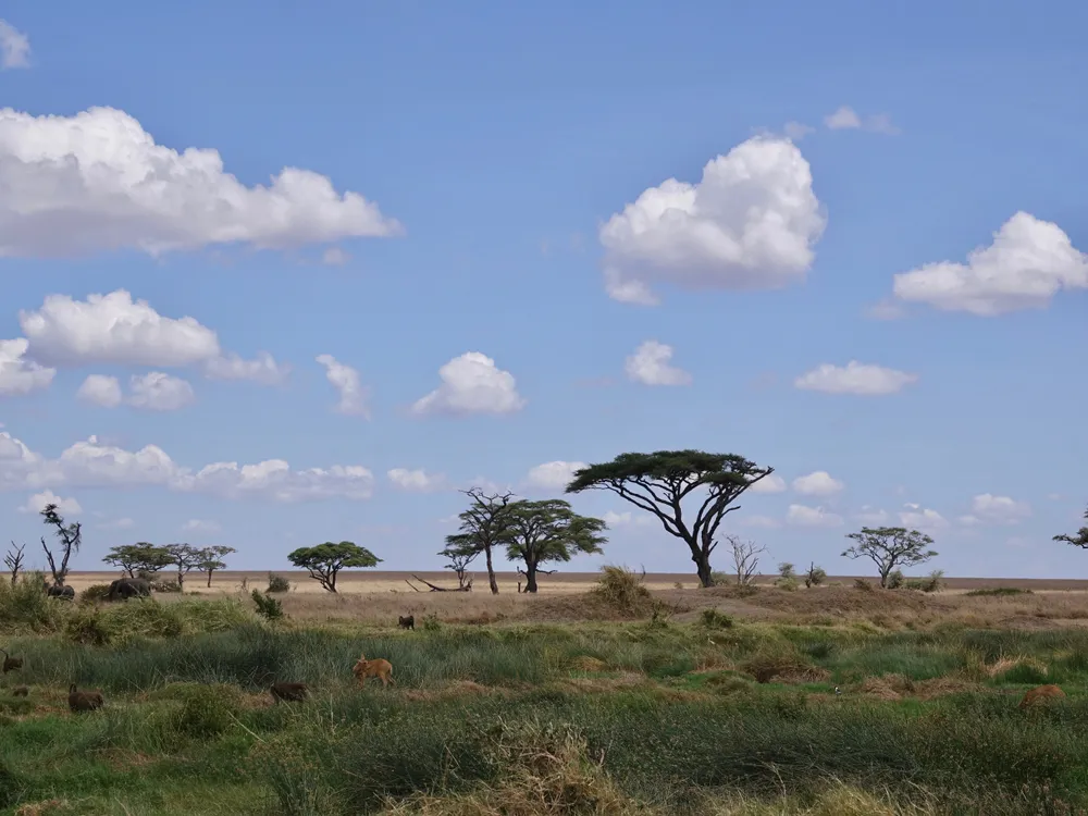 Kenya Tanzania Zanzibar