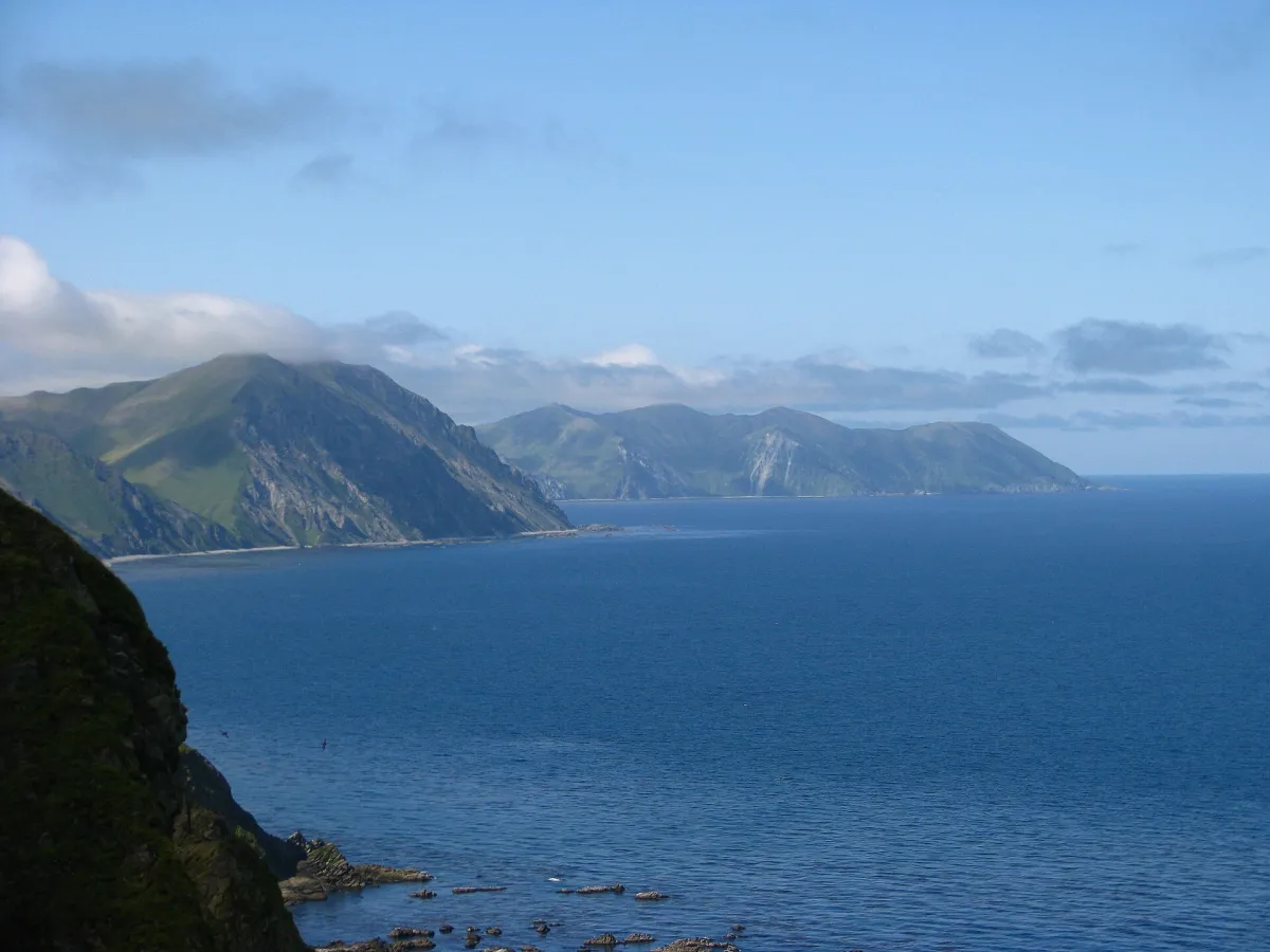 A seabird colony on the Commander Islands.