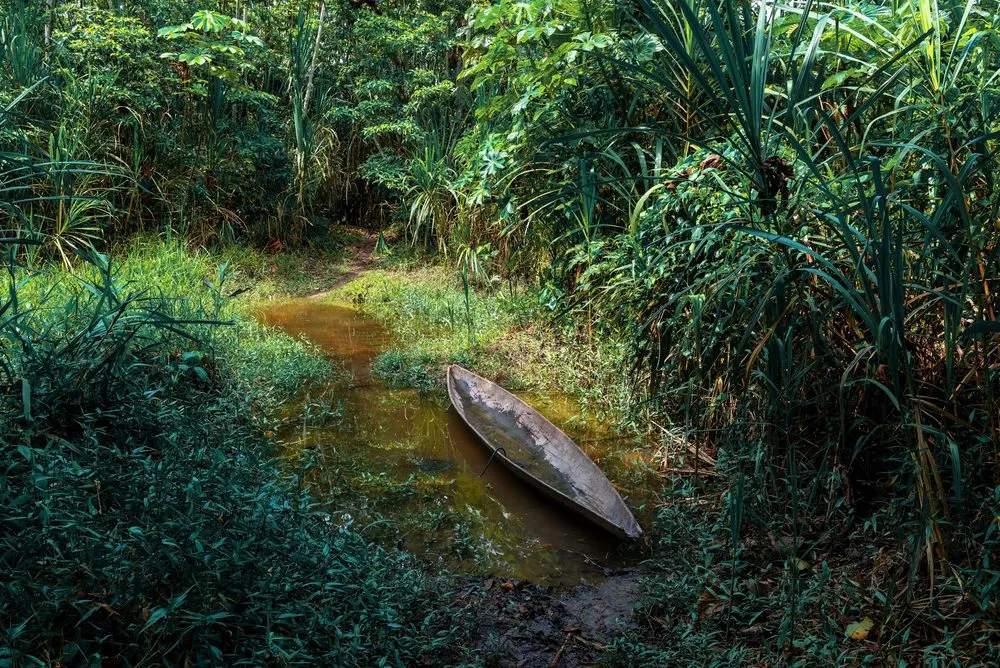 Ultimate Ecuador Wildlife