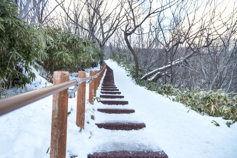 Winter trail