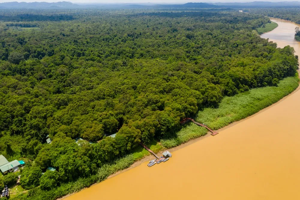 Kinabatangan River — river wildlife.