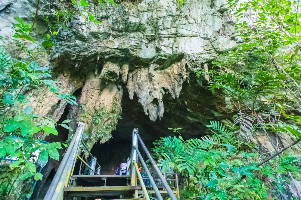 Show caves