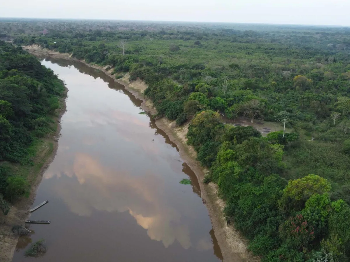 Pampas del Yacuma — wildlife wetlands.