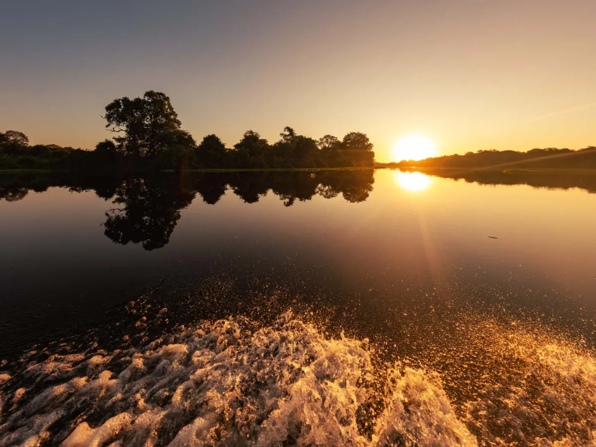 Pantanal — the world's largest wetland.