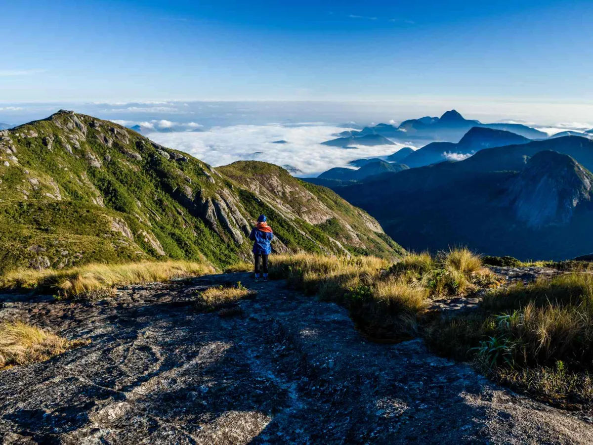 Serra do Mar — highland atlantic forest.