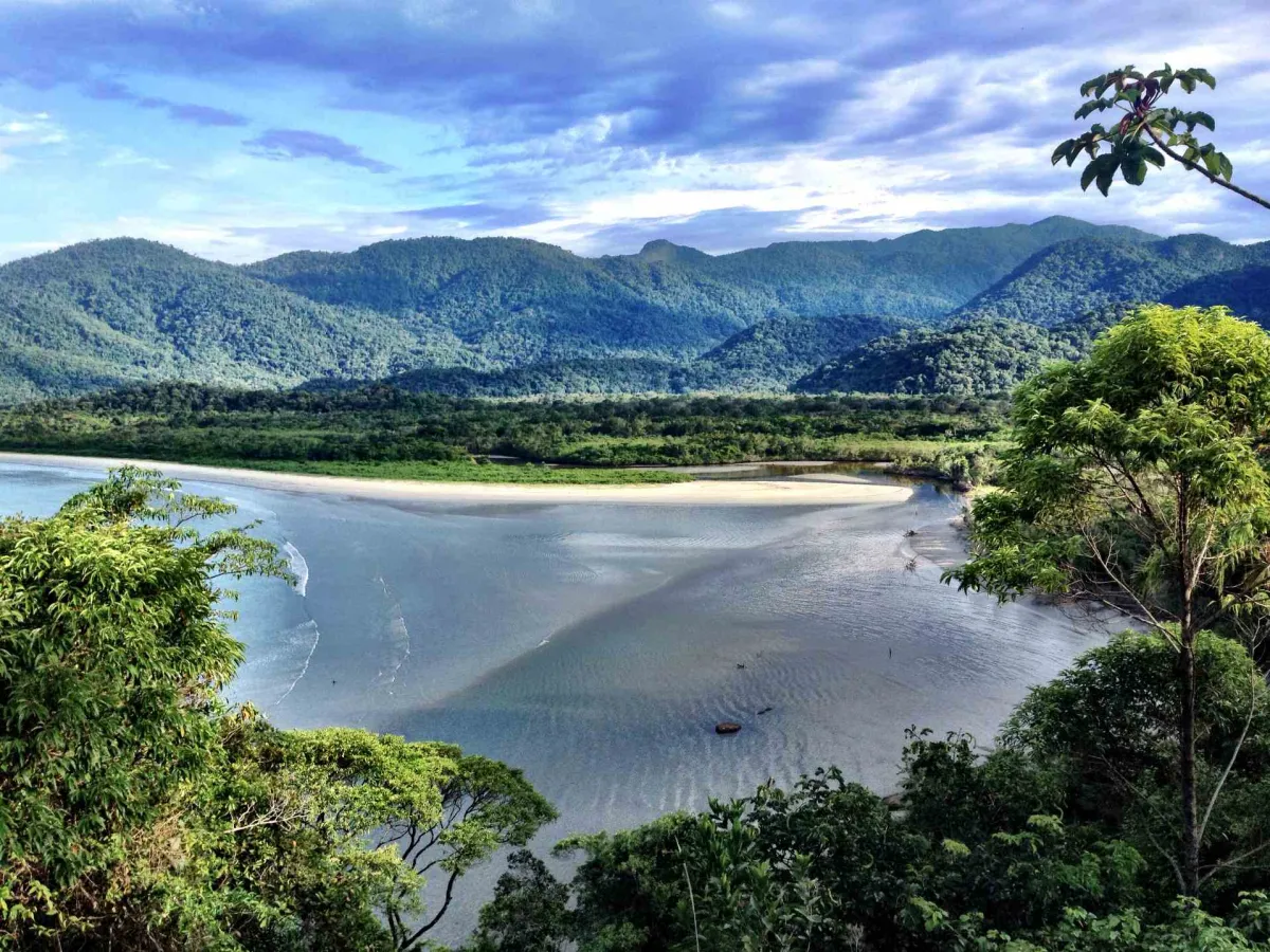 Ubatuba — coastal atlantic forest.