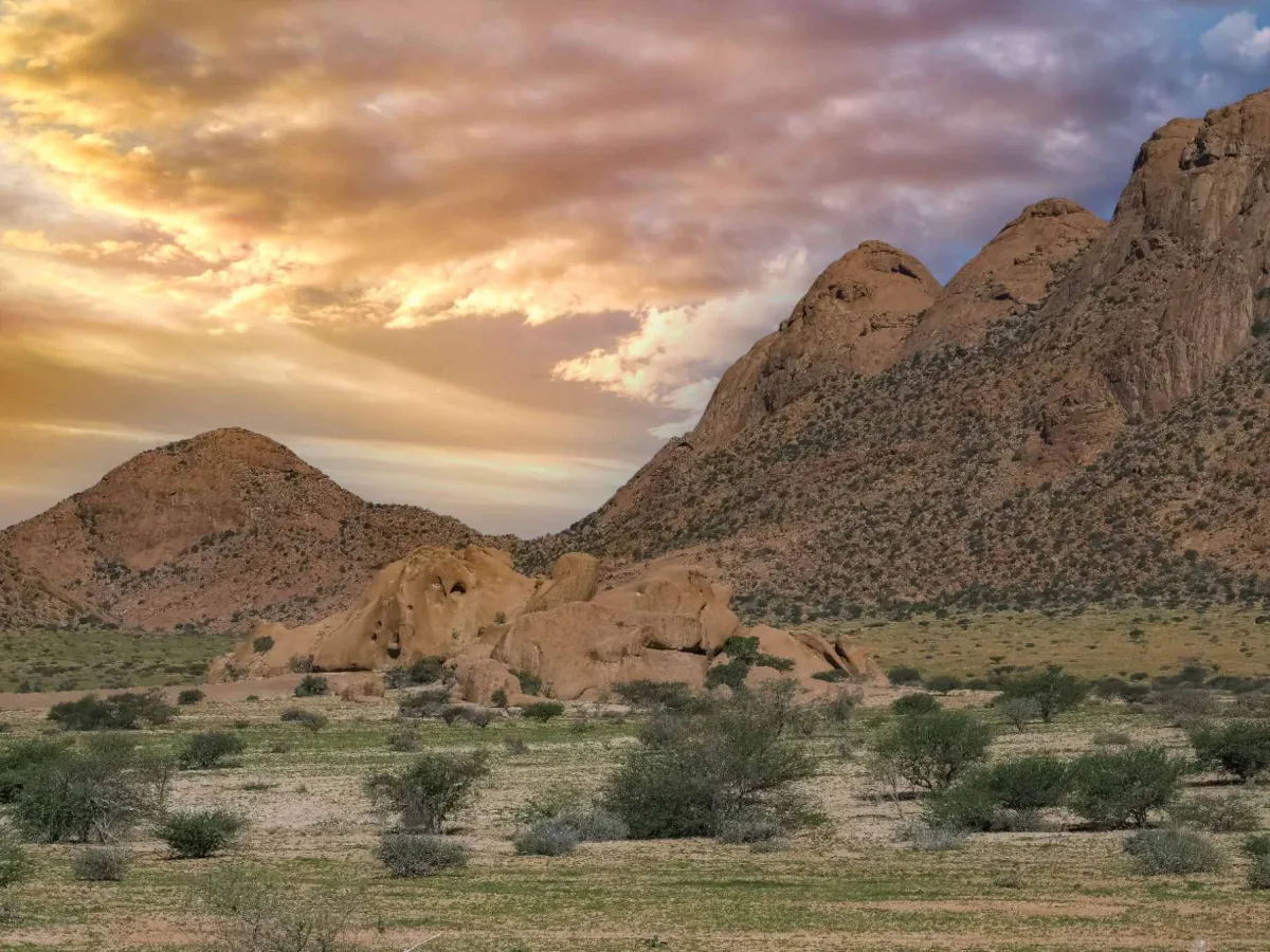 Desert-adapted elephants crossing a dry Damaraland riverbed.