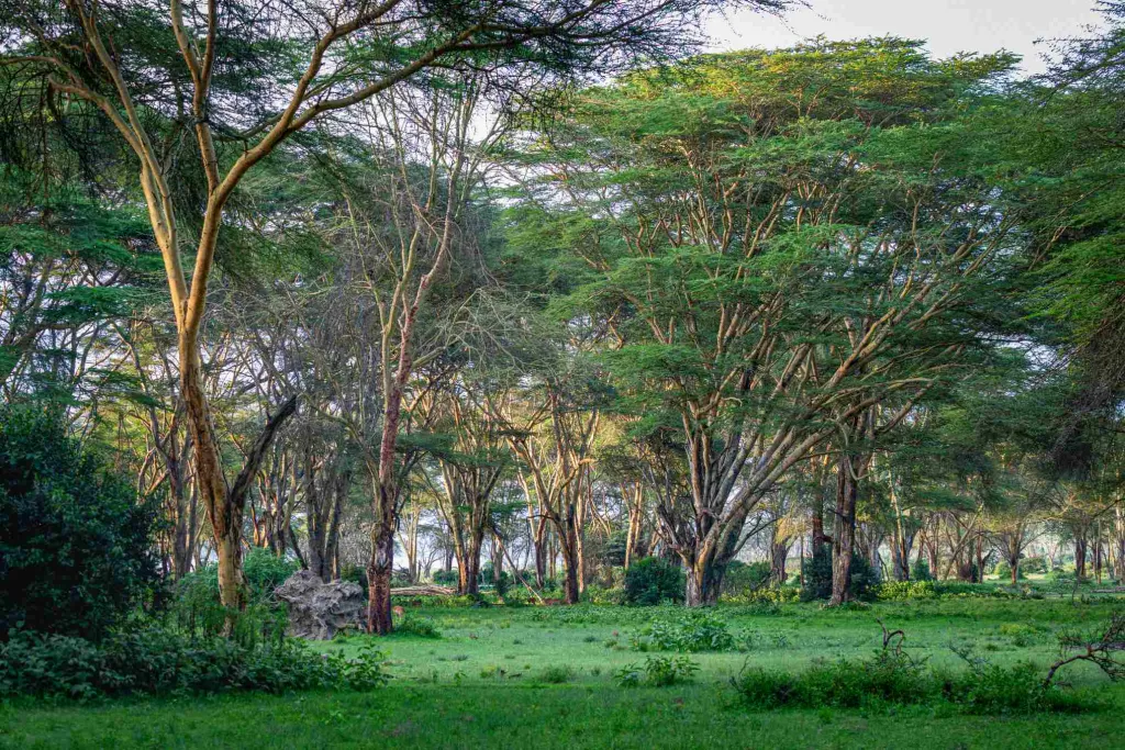 Rift Valley Circuit