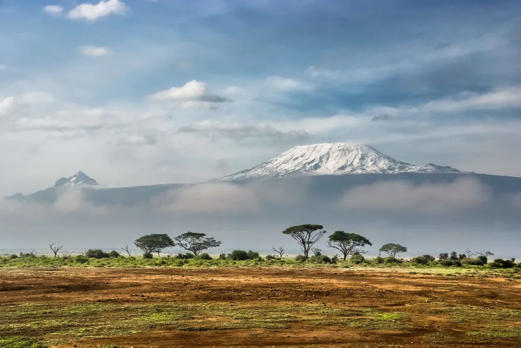 Signature Kenya