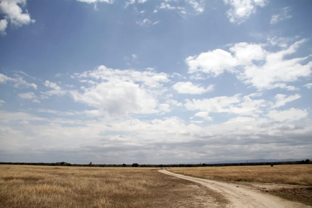 The Long Road Through Kenya