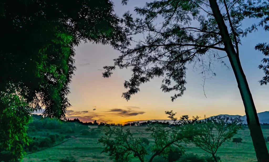 Kenya Tanzania Highlights