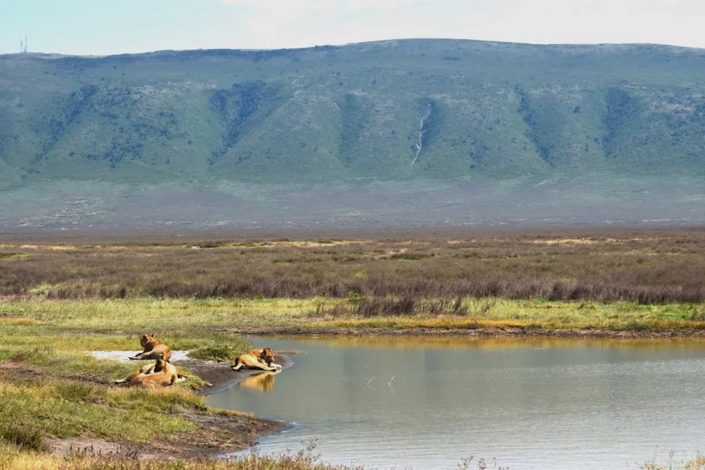 Great Migration Adventure