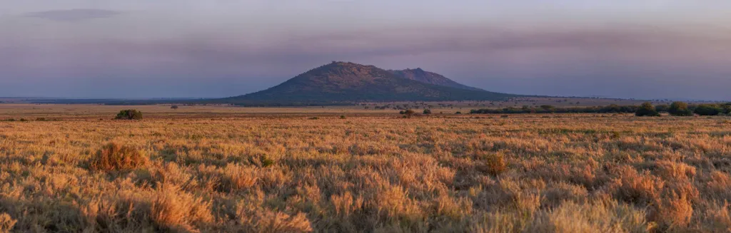 Remote Serengeti Wilderness